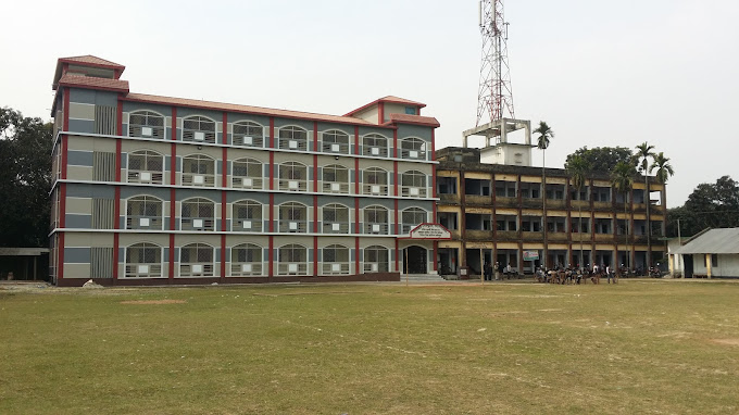 College Activity